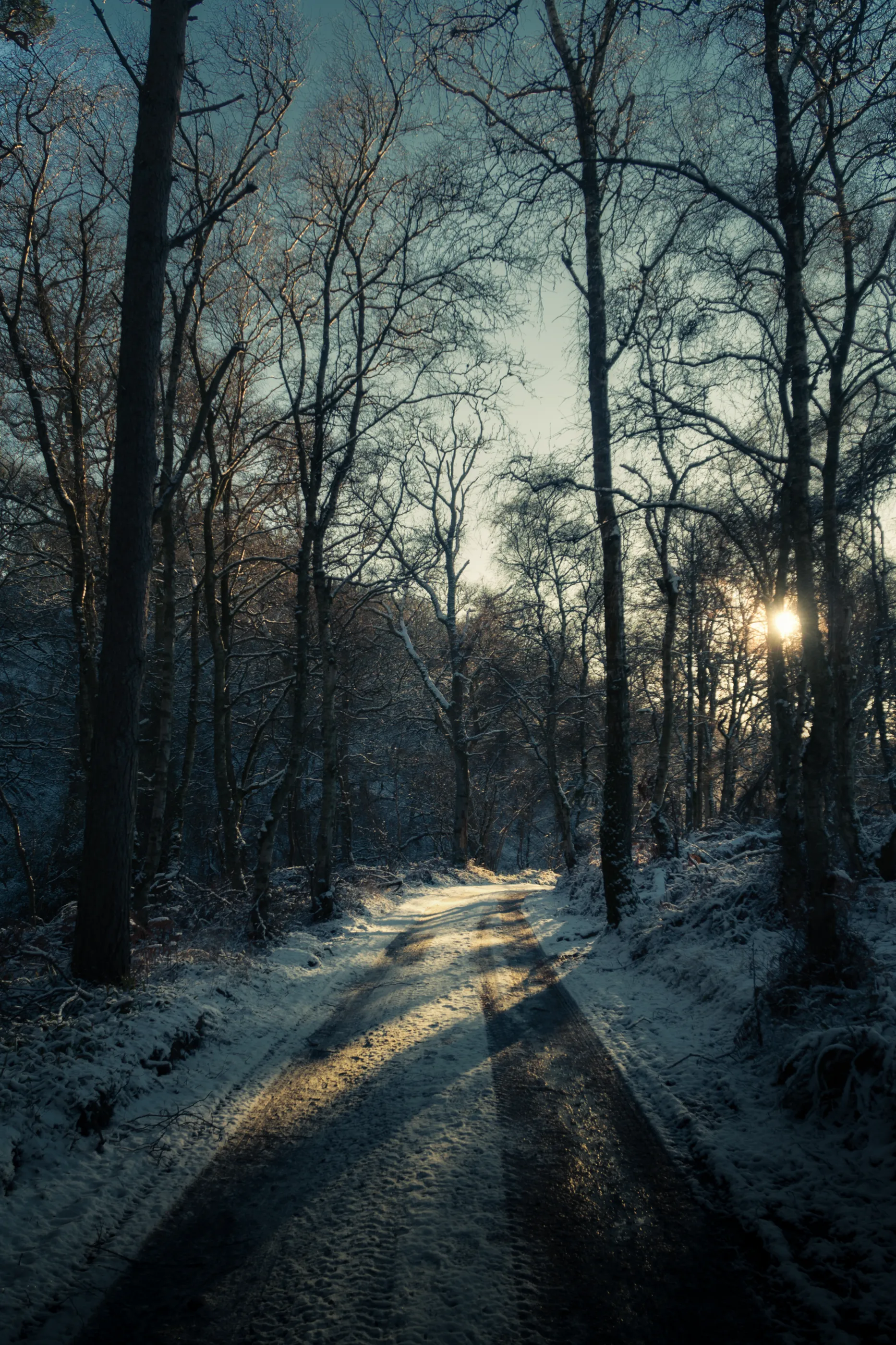 Yellow Snow